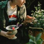 Home Vegetable Gardening in Pakistan Explore the benefits of home vegetable gardening in Pakistan for sustainable and fresh produce