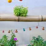 Thriving all season vegetable garden in India with diverse crops