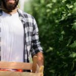 Lush and productive vegetable garden showcasing the art of gardening for vegetables