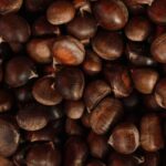 Wood Ecology Mulch: Sustainable and Beneficial Choice for Enhancing Vegetable Gardens