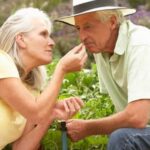 Image of a variety of beneficial plants for vegetable gardening, including herbs, flowers, and companion plants
