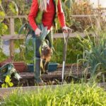 Creative Vegetable Gardener Madison showcasing innovative techniques and ideas for a thriving garden