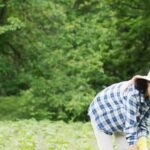 Thriving vegetable garden in North Texas, showcasing lush green crops and vibrant blooms