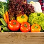 IFAS Container Vegetable Gardening: A guide to growing vegetables in containers for easy maintenance