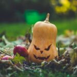 Beautiful small backyard vegetable gardens: Inspiring ideas for creating your own urban oasis