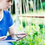 Comprehensive San Joaquin Valley Master Gardener Vegetable Guide for Optimal Planting and Growth