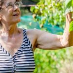 Frost and Vegetable Gardens Frost resistant vegetables thriving in well-maintained garden beds