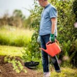 Image of a flourishing raised bed garden filled with vibrant vegetables