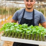 Small Space Vegetable Gardens Andrea Bellamy Epub Cover image for Andrea Bellamy's EPUB book on creating small space vegetable gardens