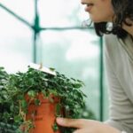 Sturdy Gardening Planters for Vegetable Gardens with Optimal Drainage and Aeration