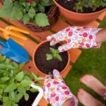 Winter Vegetable Gardening Tips Winter vegetable gardening tips: how to grow and maintain a successful winter garden