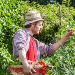 The Complete Vegetable Gardener: A comprehensive guide to growing a bountiful garden