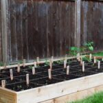 Lush vegetable garden bursting with Illinois-grown produce, perfect for sustainable vegetable gardening in Illinois