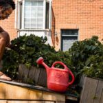 Effects of cat poop on vegetable gardens: Is it harmful to your plants and soil?