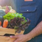 Cultivating a thriving Central Florida vegetable garden – a month-by-month guide