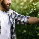 Benefits of Peat for Vegetable Gardens: Enhanced soil structure and moisture retention