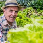 SOUTH TEXAS GARDENING VEGETABLES: Lush and bountiful vegetables being grown in a vibrant South Texas garden