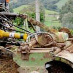 Beautiful Colorado Springs vegetable garden with abundant crops and vibrant colors