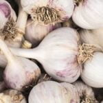 Is Potting Soil Good for Vegetable Gardens High-quality potting soil is essential for successful vegetable gardens