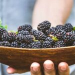 Benefits of Using Cow Manure for Vegetable Gardens: Nutrient-Rich Soil Enhancer for Optimal Growth