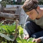 Ensuring Safety: Evaluating the Suitability of Concrete Blocks for Vegetable Gardens