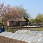 Preen Weed Preventer Safe for Vegetable Gardens Safe and effective Preen Weed Preventer for vegetable gardens, promoting healthy growth and preventing weed infestations