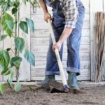 Benefits of using wood chip mulch in vegetable gardens: Is wood chip mulch good?