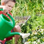 Using CAN DYED MULCH in Vegetable Gardens: Pros, Cons, and Best Practices