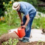 Perennial Vegetables From Artichokes to Zuiki Taro a Gardener'S Guide Comprehensive guide on perennial vegetables, including artichokes and zuiki taro - a must-read for gardeners