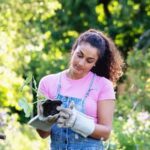 Alt text suggestion: Is MCA treated wood safe for vegetable gardens? Find out about the safety of MCA treated wood