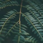 Arcimboldo's masterpiece: a vibrant bowl of vegetables, skillfully arranged like the work of a meticulous gardener