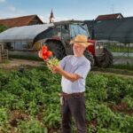Beautiful small-scale vegetable gardening plot showcasing various crops and efficient space utilization