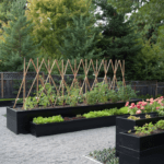 High Altitude Gardening Vegetables Vibrant assortment of high altitude gardening vegetables, perfect for elevated climates