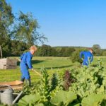 Top-rated Vegetable Gardening Books for UK Gardeners - Find the Best Choices Here!