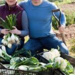 Feeding Habits of Birds: Discover if Birds Eat Vegetable Gardens in this Detailed Guide!