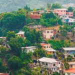 Benefits of using composted cow manure as fertilizer for vegetable gardens