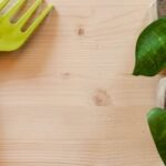 Better Homes and Gardens Italian Chicken and Vegetable Soup Delicious recipe of Better Homes and Gardens Italian Chicken and Vegetable Soup