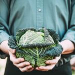 Local businesses in Philadelphia taking part in sustainable practices by establishing vegetable gardens