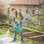 Benefits of Using Coffee Grounds in Vegetable Gardens