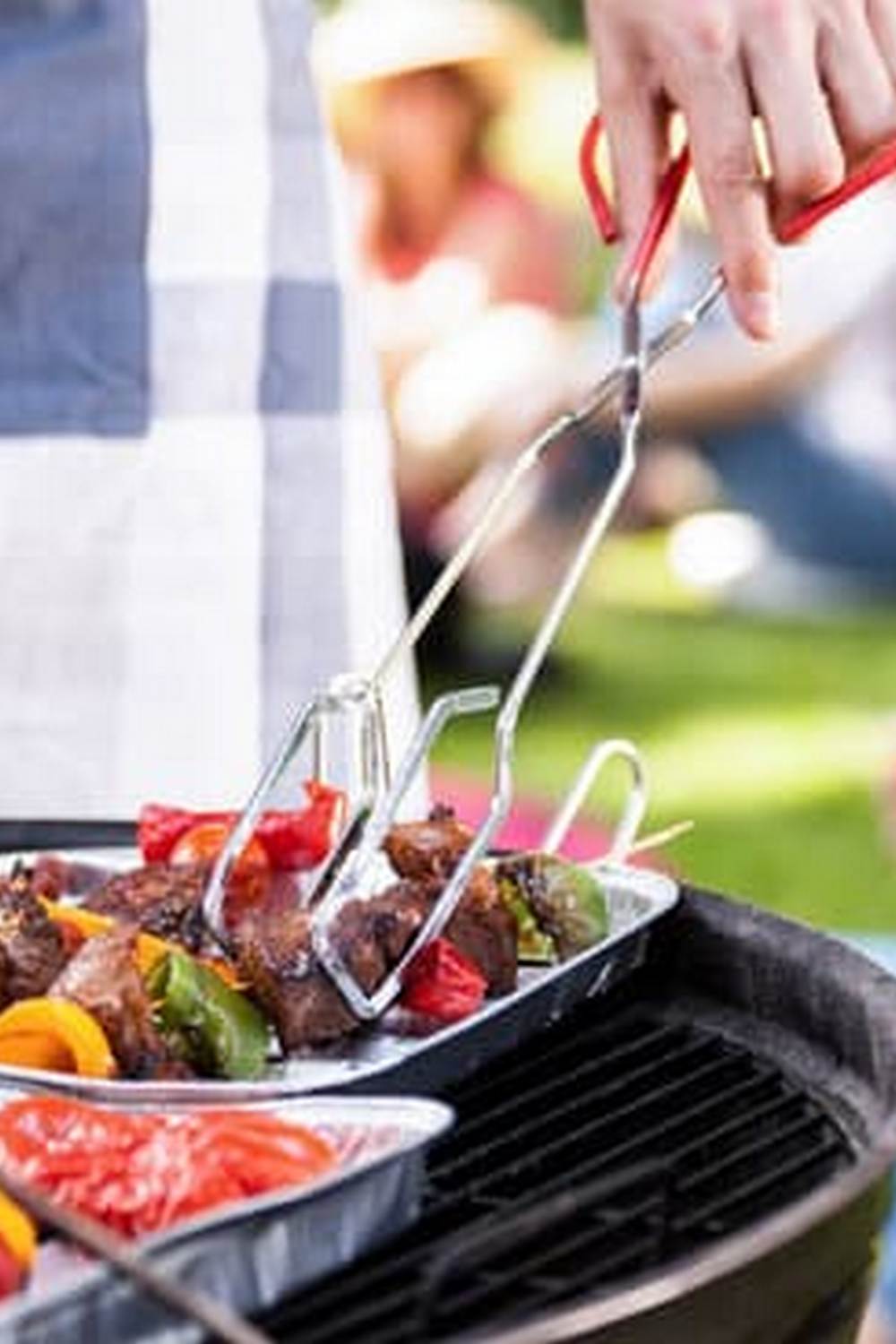 Bountiful vegetable garden in Washington DC, thriving with locally grown produce