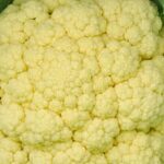 Safe and Sustainable: Exploring the Use of Landscape Timbers for Vegetable Gardens