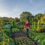 Ensuring Safety: Evaluating the Use of Concrete for Vegetable Gardens