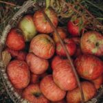 Effective weed and grass killer formulated for vegetable gardens - Hi Yield Weed & Grass Killer