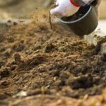 Image of the Expert Gardener Organic Tomato and Vegetable Plant Food container