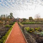 Is diatomaceous earth safe for vegetable gardens? - Information on the safety of using diatomaceous earth in vegetable gardens