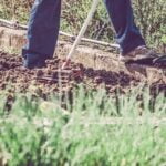Cover of Desert Gardening Fruits & Vegetables: The Complete Guide by George Brookbank, published in 1991