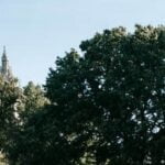 Bountiful vegetable garden thriving with the help of beneficial earthworms