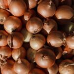 Tips for First Time Vegetable Gardeners Helpful advice for beginners venturing into vegetable gardening for the first time