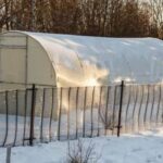 Organic and Eco-Friendly Natural Weed Killers for Vegetable Gardens: Effective Solutions for a healthier harvest