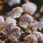 Vertical vegetable gardening systems: Innovative DIY methods for growing your own fresh produce at home